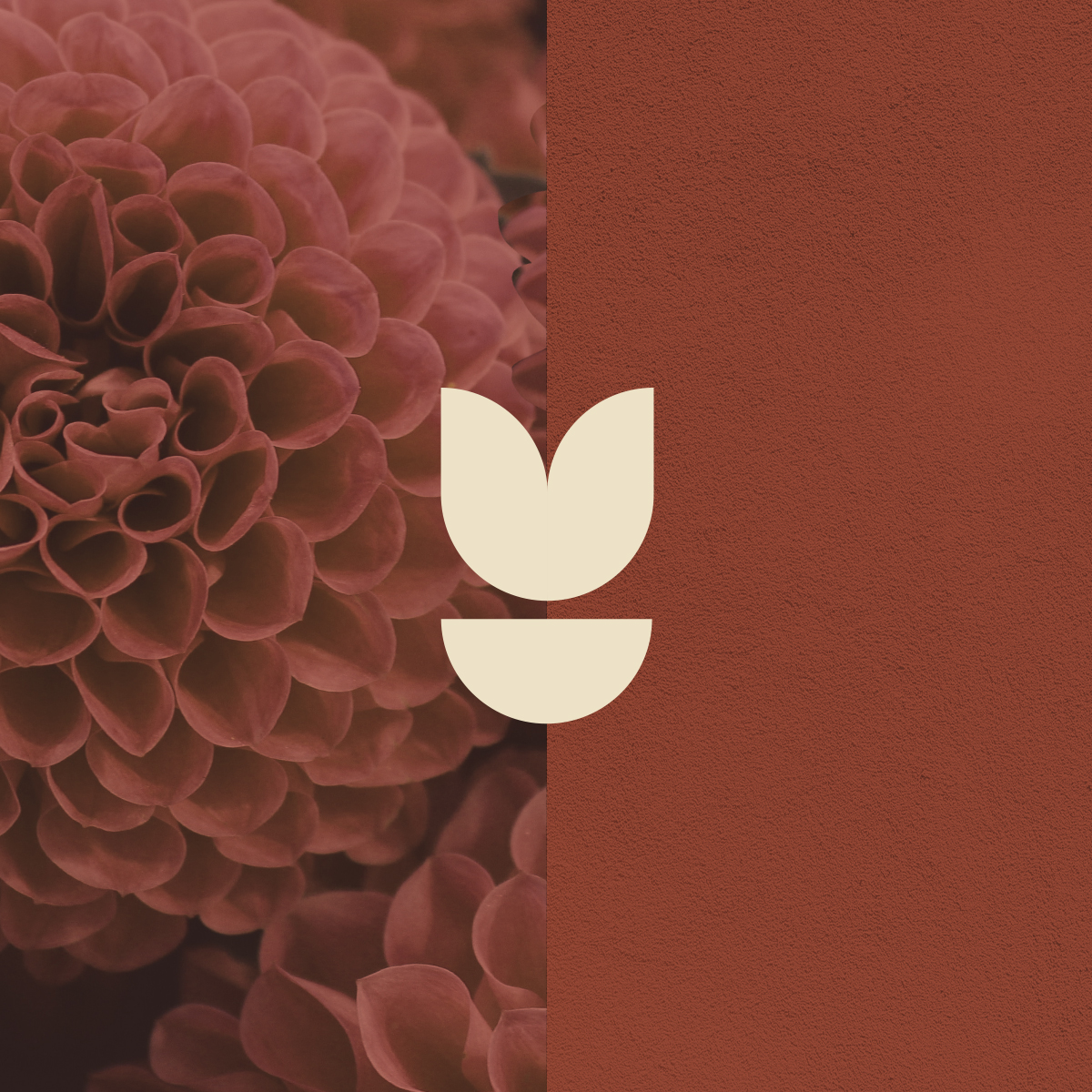 Perennis Logo design